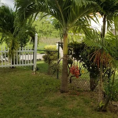 Cynson Villa Holiday Accommodations 크리스트 처치 외부 사진