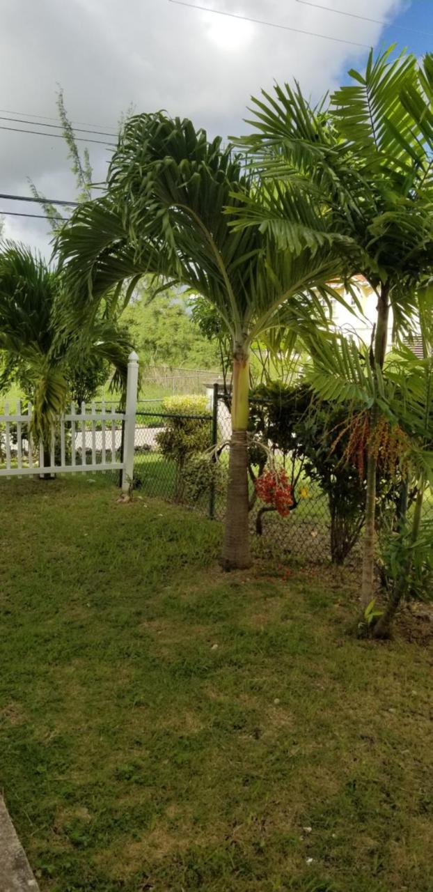 Cynson Villa Holiday Accommodations 크리스트 처치 외부 사진