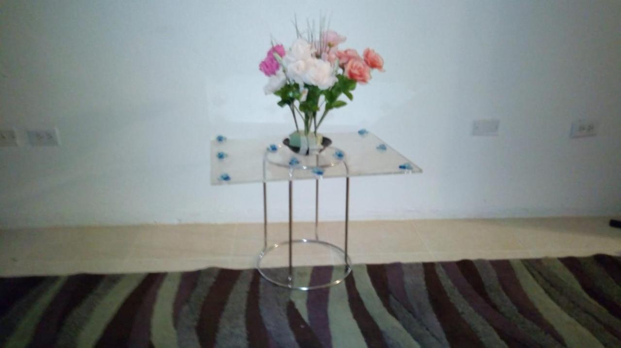 Cynson Villa Holiday Accommodations 크리스트 처치 외부 사진