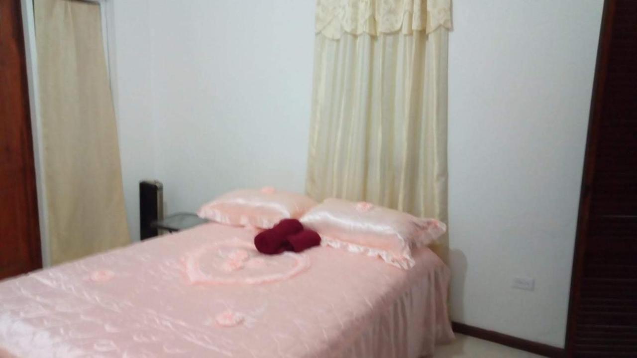 Cynson Villa Holiday Accommodations 크리스트 처치 외부 사진